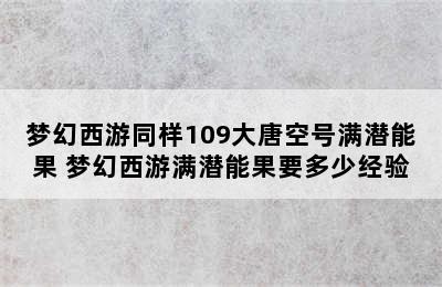 梦幻西游同样109大唐空号满潜能果 梦幻西游满潜能果要多少经验